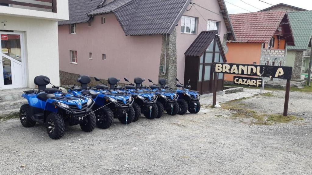 Pensiunea Brandusa Ranca Exteriör bild